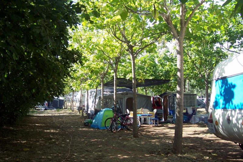 Ecológico Vinyols Camp