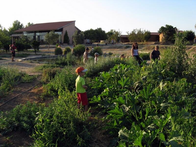 Ecológico Vinyols Camp