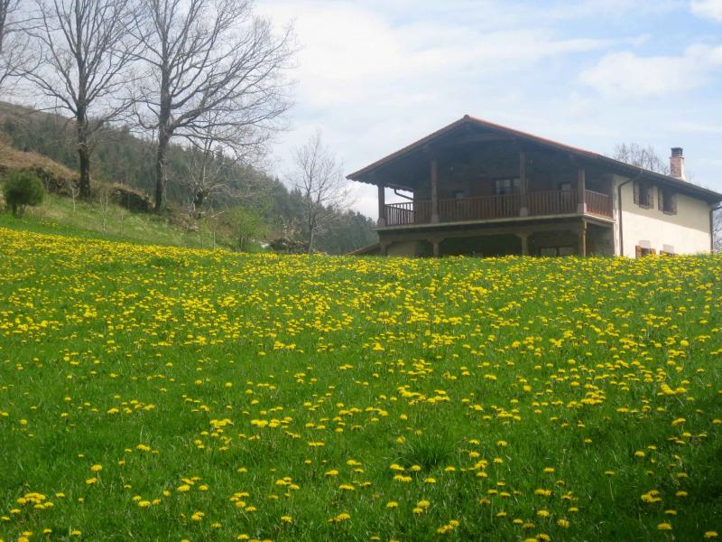 Borda Martinea