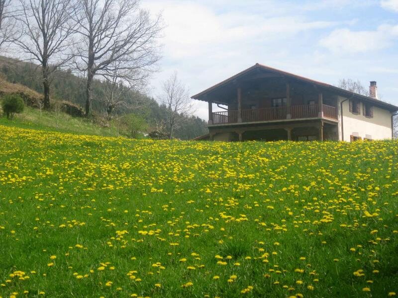 Borda Martinea