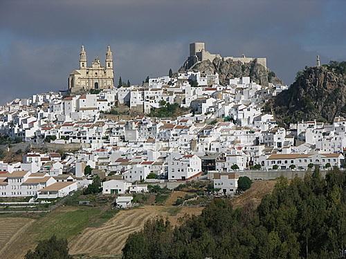 Hotel Fuente Del Pino