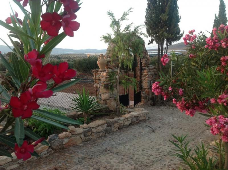 OLIVARES