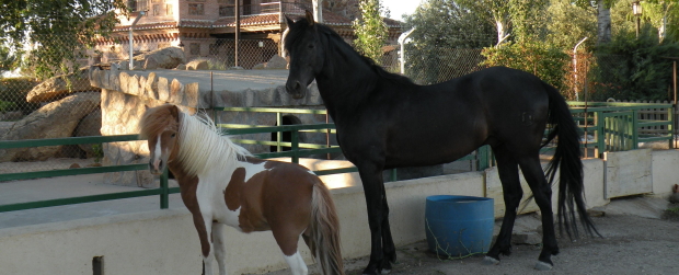 Casa Rural El Carrascal