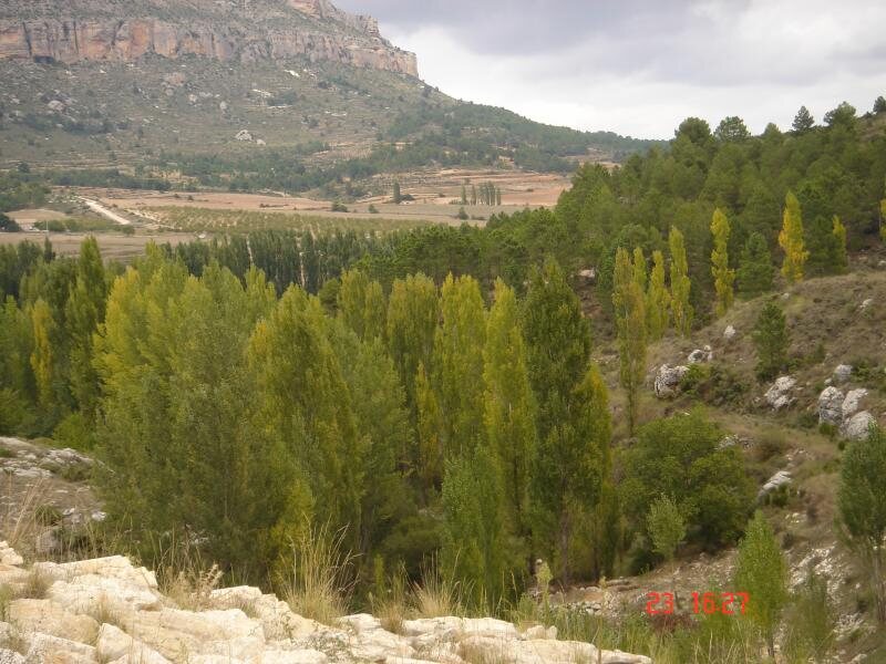 Casa Rural La Risca 1