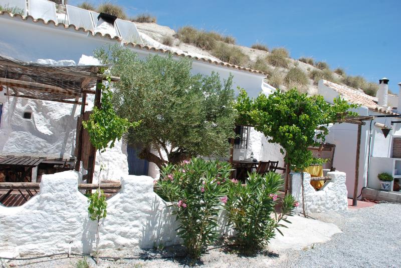 Cueva Oliva