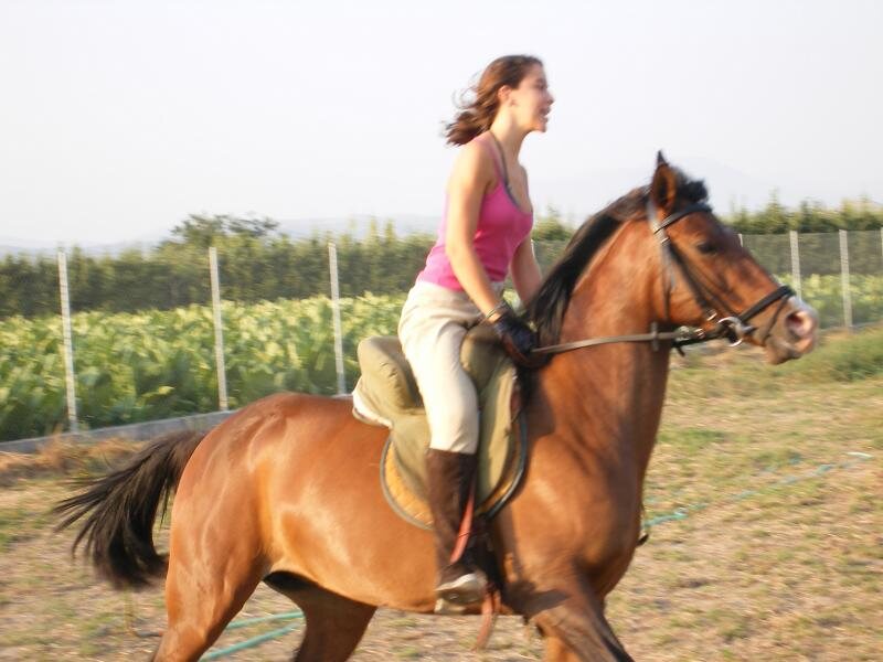 Cortijo Alborear