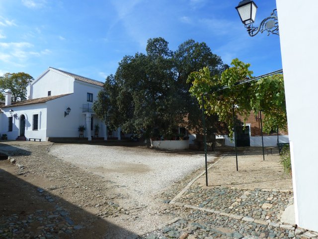 Cortijo Almazara Quintanilla