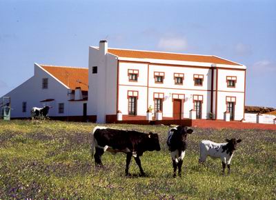 Finca Los Llanos