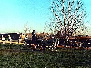 Torrecilla Paintball