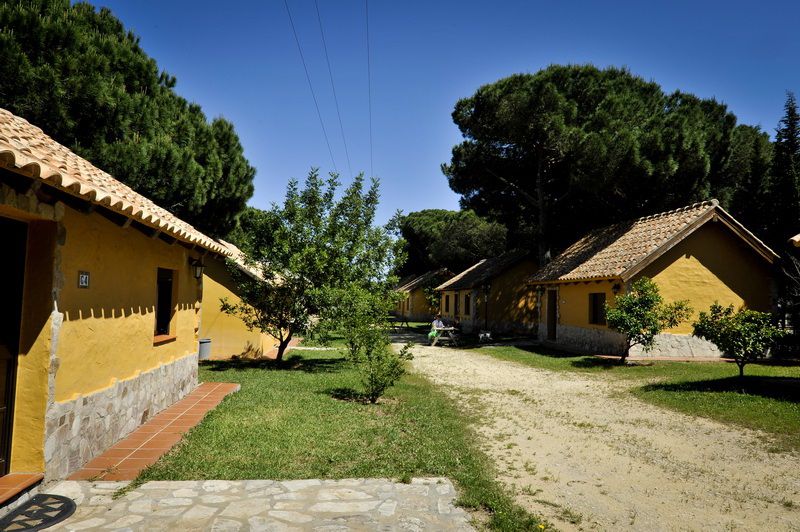 Camping Vejer