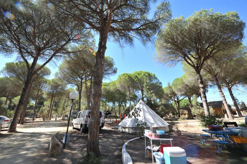 Camping Vejer