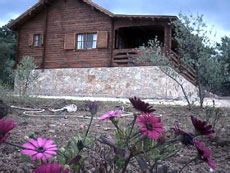 Casa Entreolivos Rural