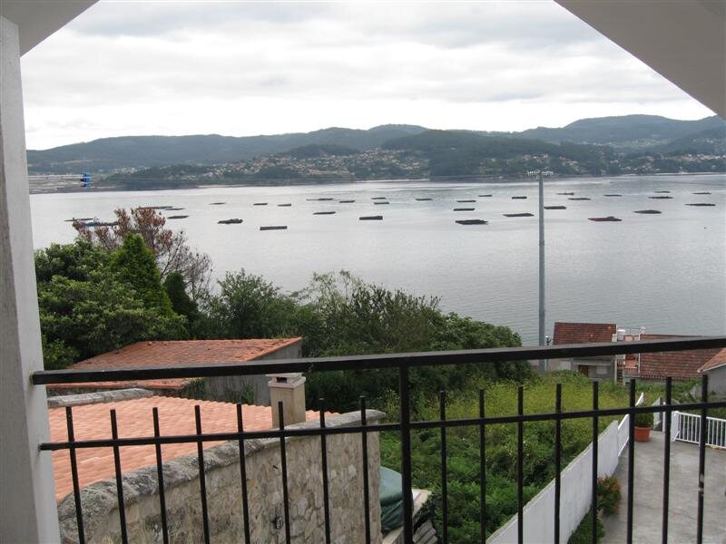 Lameiriña