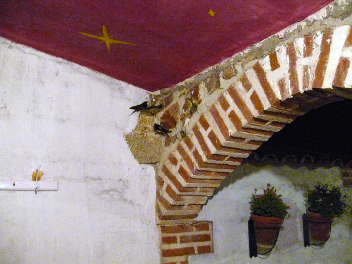Duquesa de la Conquista