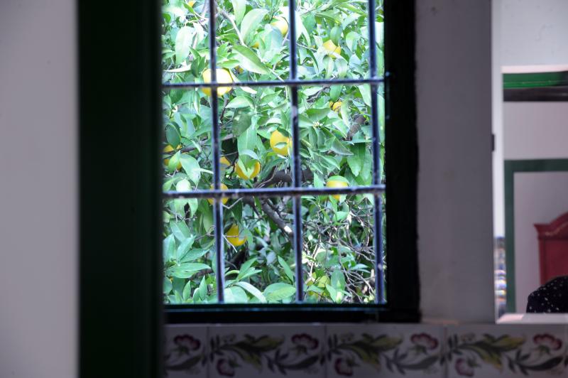 Huerta La Pimentada