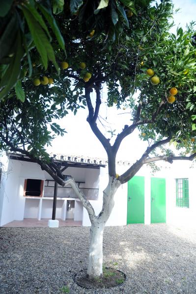Huerta La Pimentada