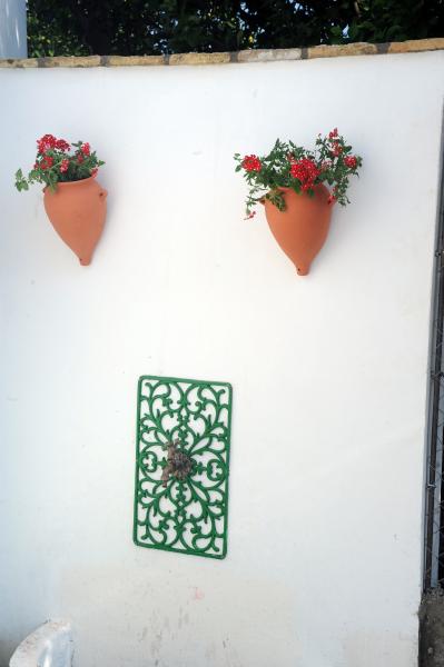 Huerta La Pimentada
