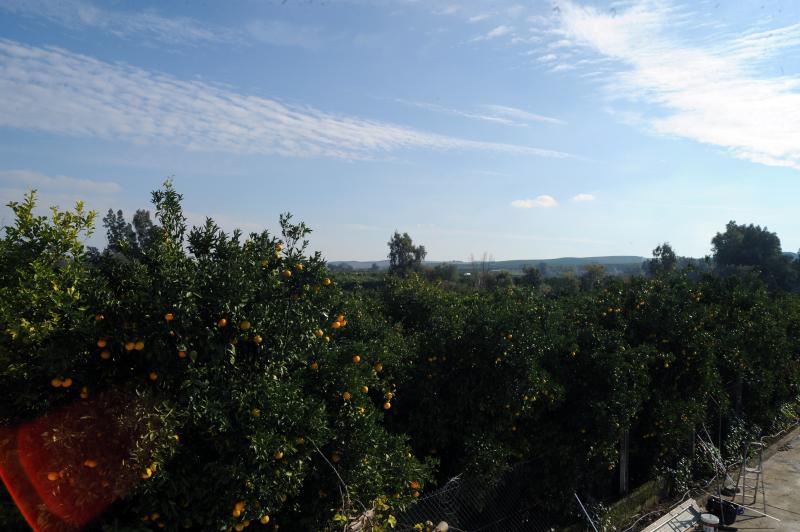 Huerta La Pimentada