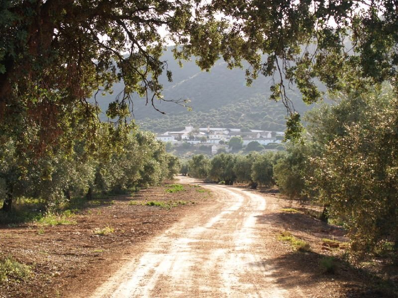 Casa Rural Estepa