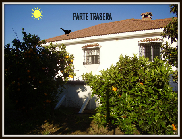 CORTIJO RURAL MARIA