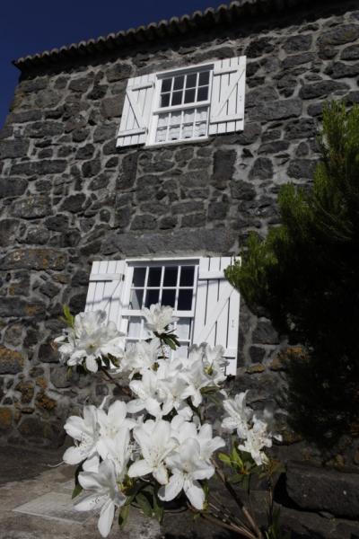 Casas do Capelo