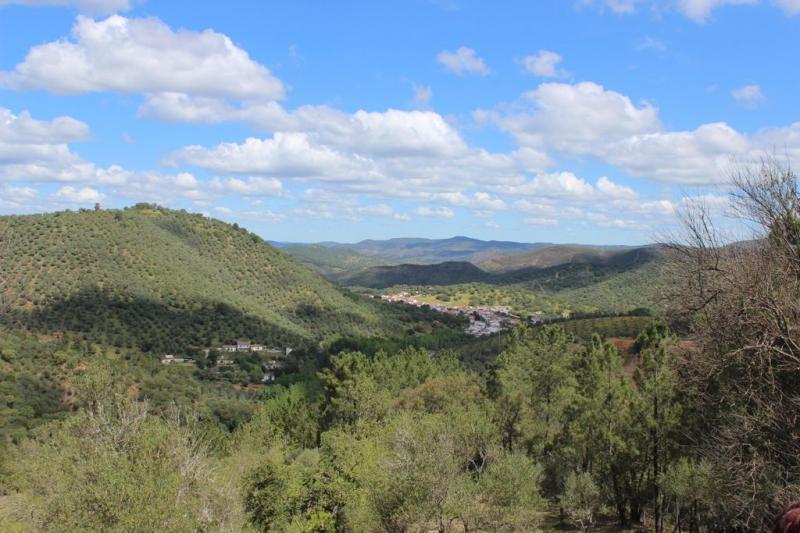 Casas Río Murtiga