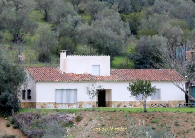 Casas Río Murtiga