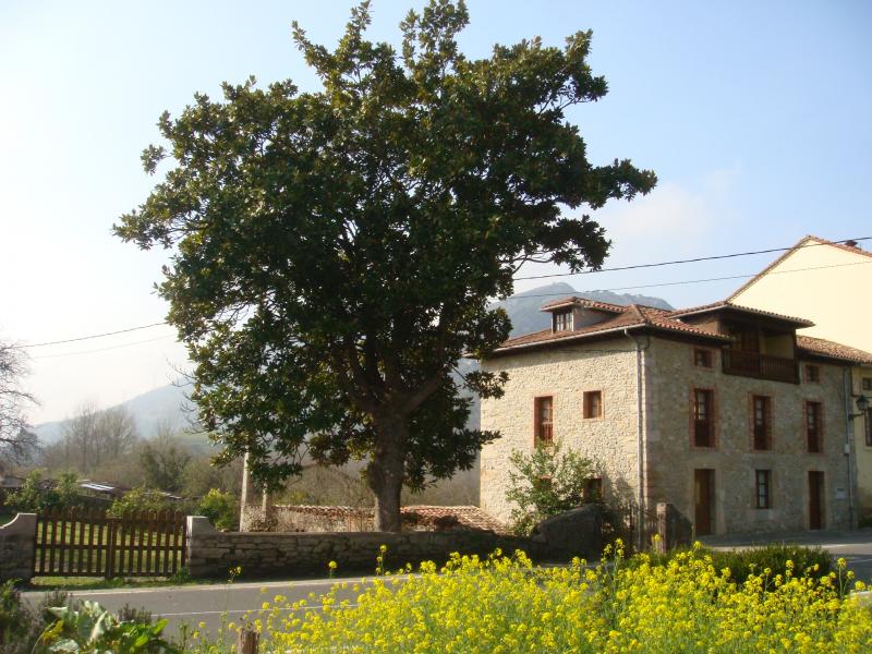 Casas La Roza