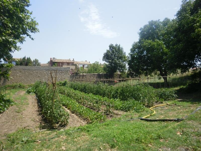 Can Massot