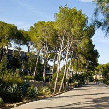 Live Mallorca Hostel