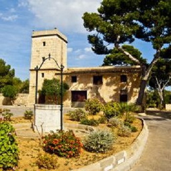 Live Mallorca Hostel