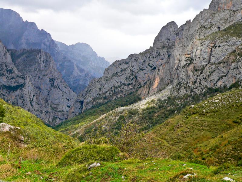 La Casa Grande de Cabrales