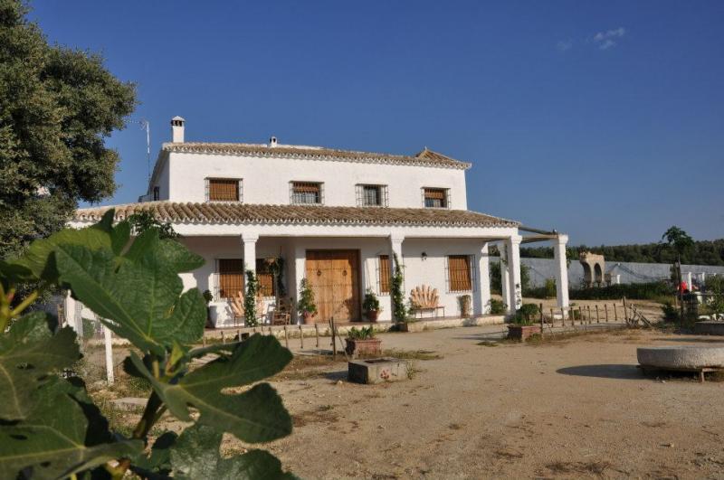 Casa Rural Los Lirios