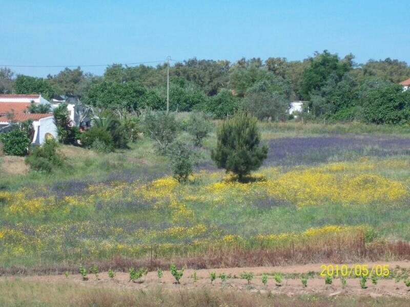 Foros Da Caiada: Casa con Jardín