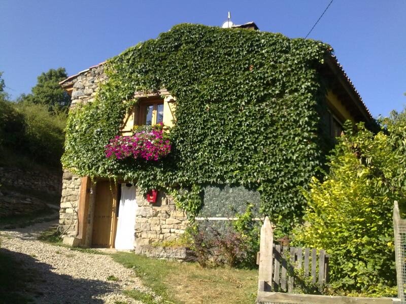 La Casa de la Hiedra