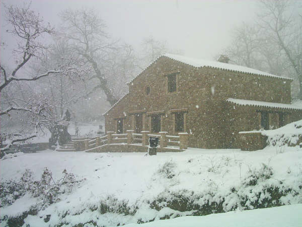 Finca El Tornero Il