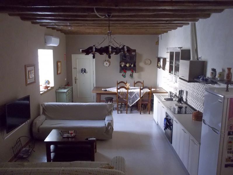 La palmera de la insula