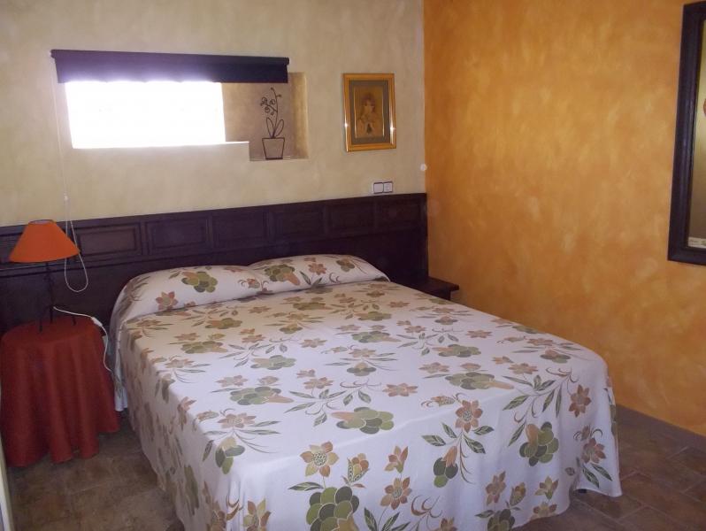 La palmera de la insula