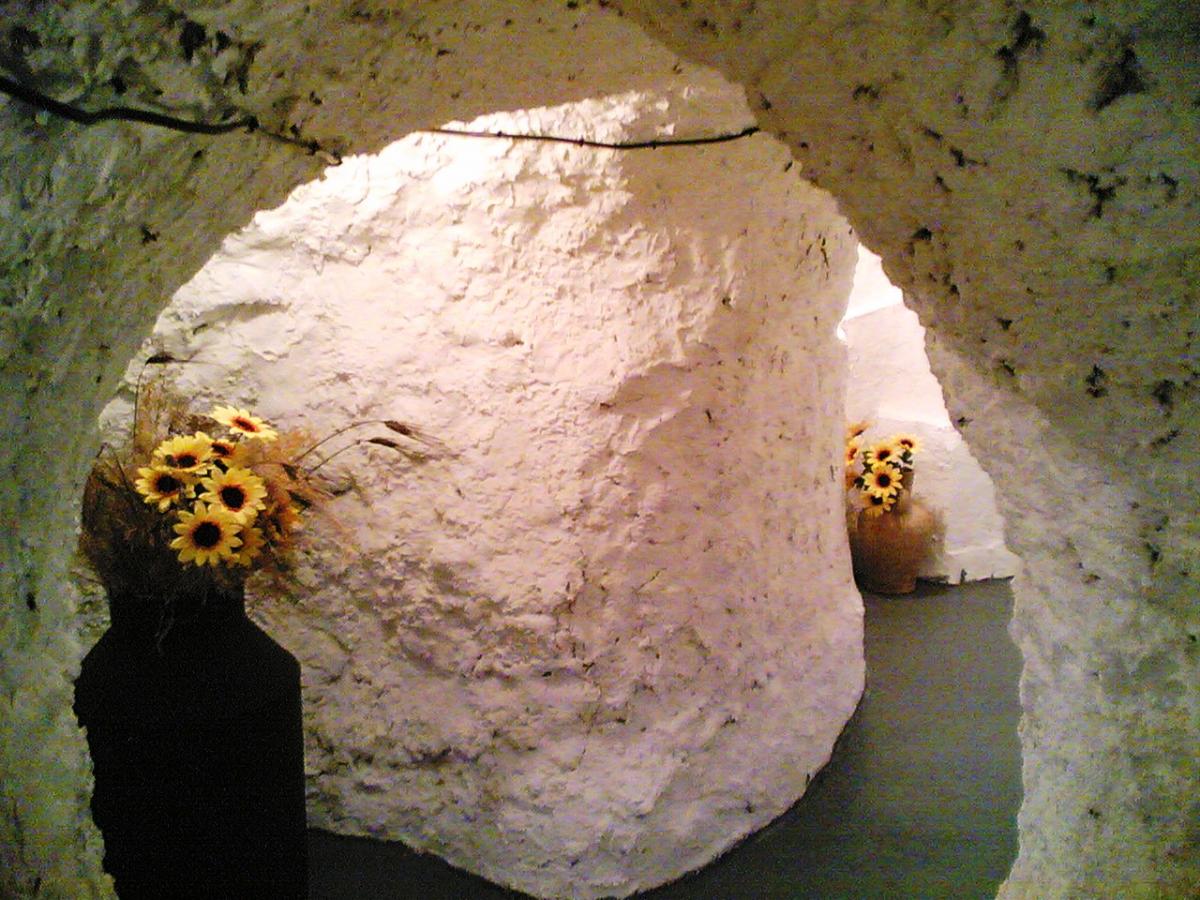 LA CASA DEL PANTANO