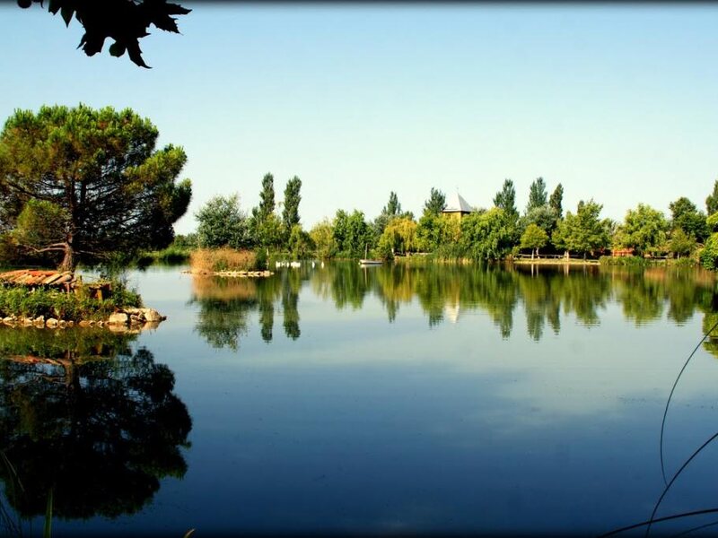 Yeguada Senillosa