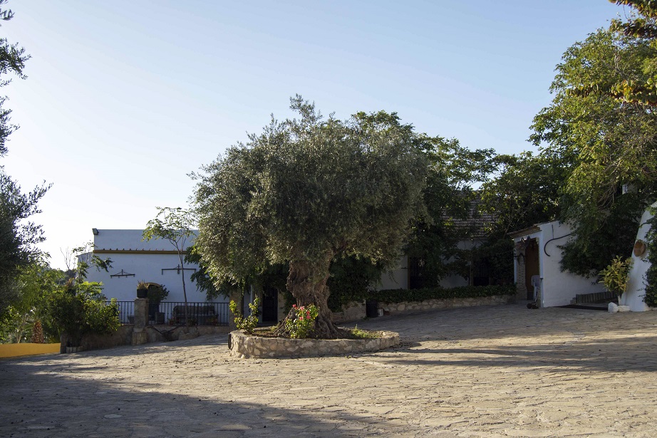 Cortijo Coracho