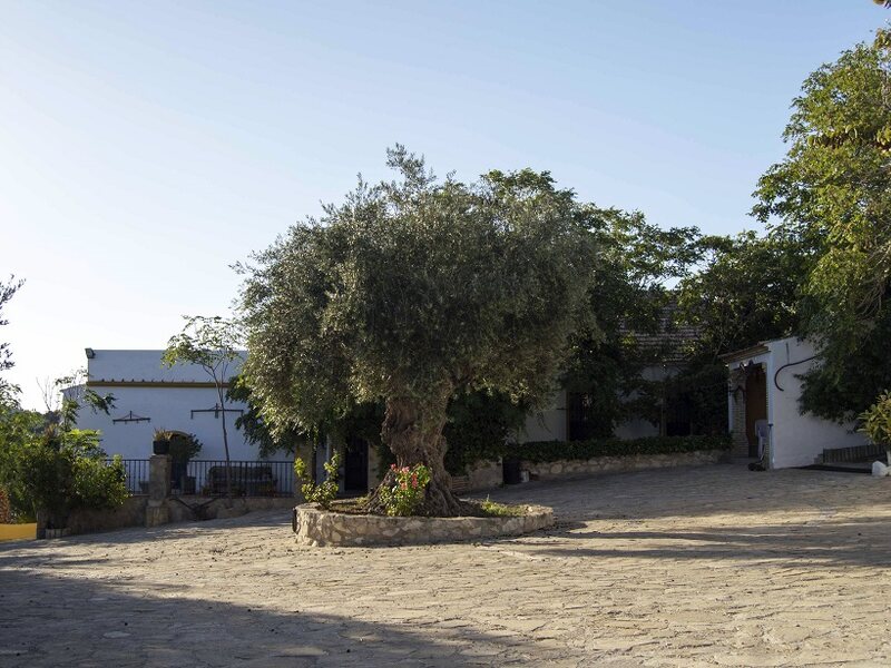 Cortijo Coracho