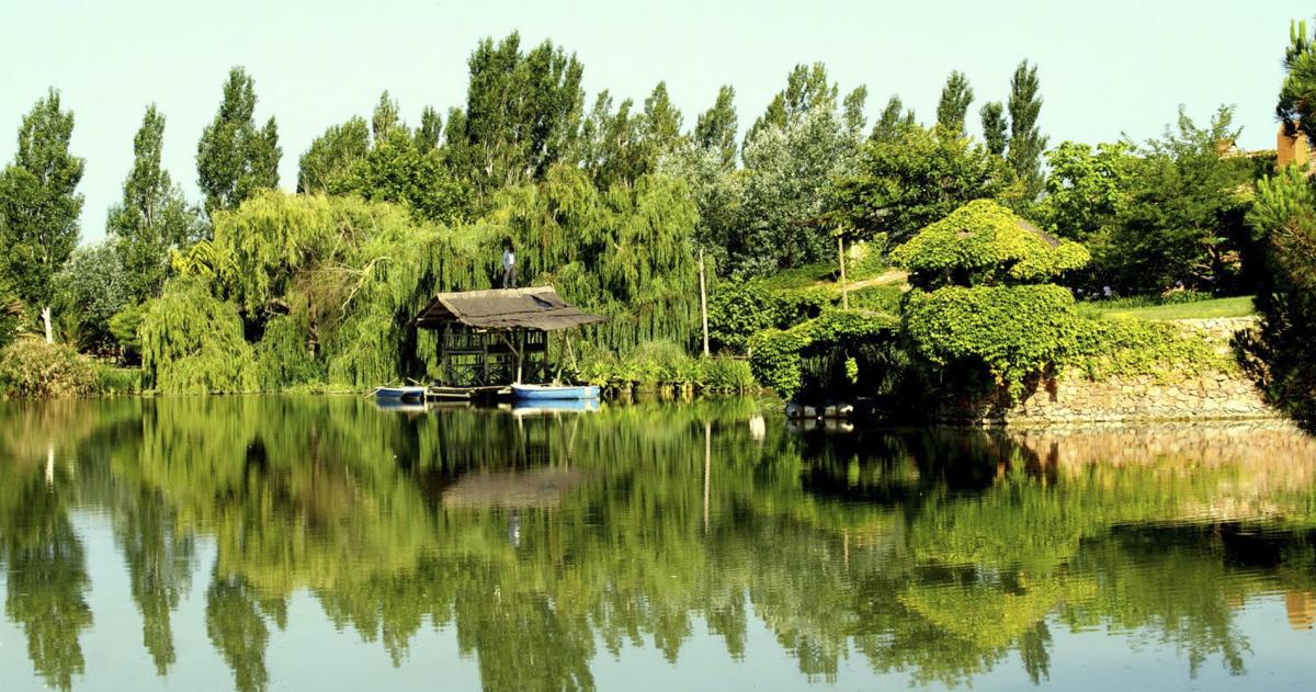 Yeguada Senillosa Finca Rural