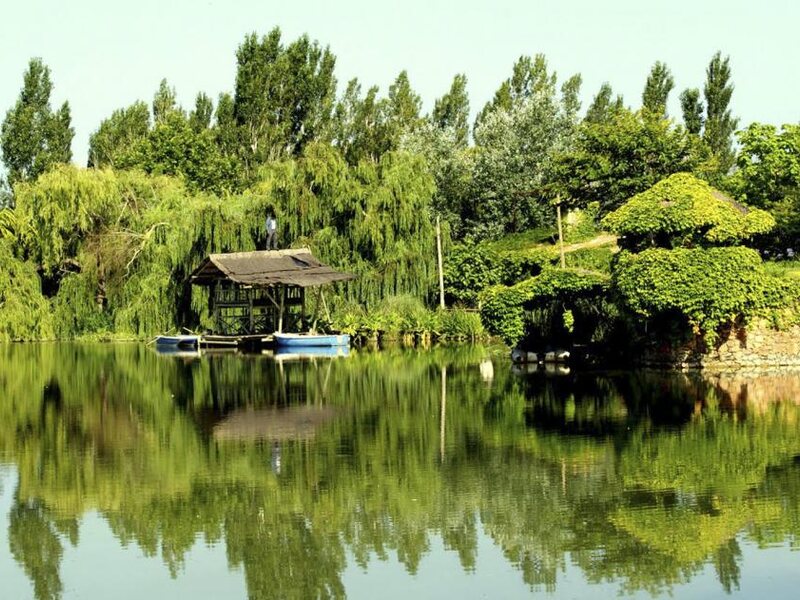 Yeguada Senillosa Finca Rural