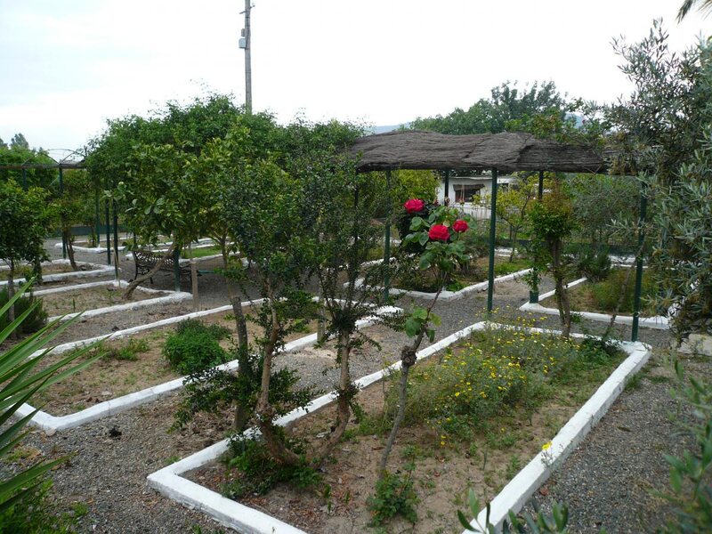 Los Frutales