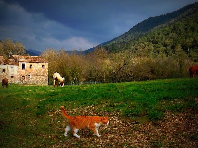 Masia la Costa