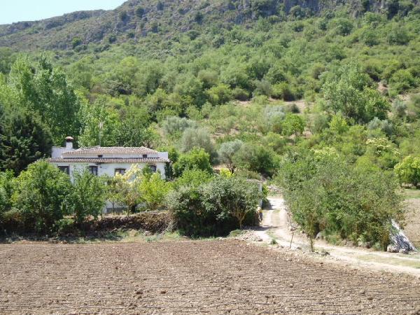 El Cortijillo