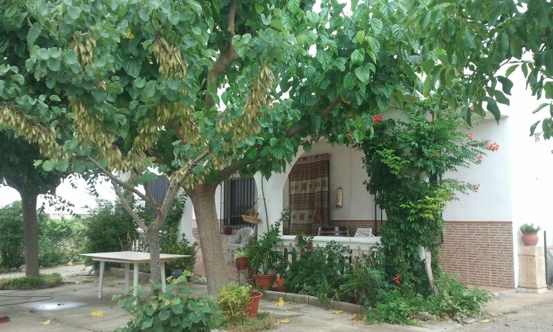 Campo Rural