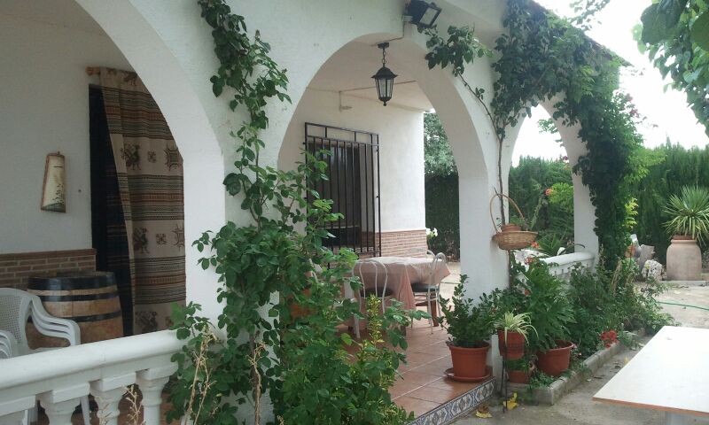Campo Rural