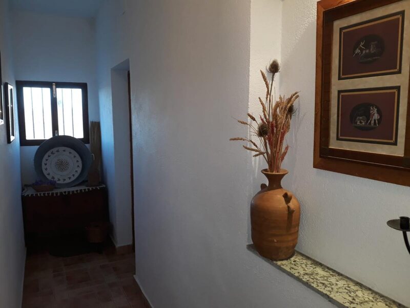 Campo Rural